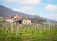Programme Neuf VILLA D'ARBESSIEUX Ruffieux