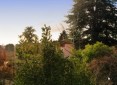 Programme Neuf Villas Mont d'Or Saint-Didier-au-Mont-d'Or
